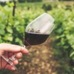 Características del vino de Ronda